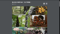 森ときのこを愛する会　ウェブ写真展